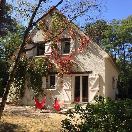 Chambres Au Coeur Du Massif Des Trois Pignons Noisy-sur-Ecole エクステリア 写真