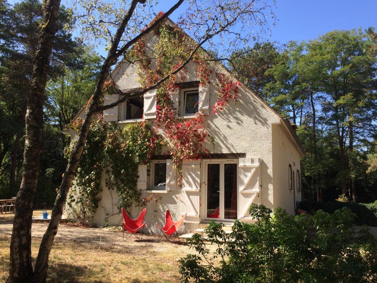 Chambres Au Coeur Du Massif Des Trois Pignons Noisy-sur-Ecole エクステリア 写真