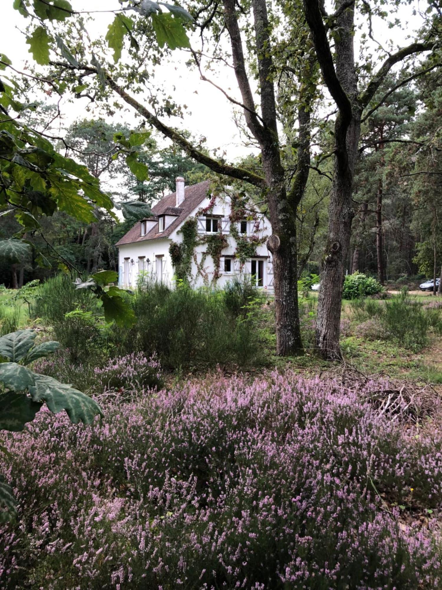 Chambres Au Coeur Du Massif Des Trois Pignons Noisy-sur-Ecole エクステリア 写真